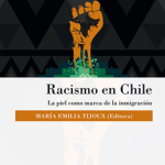 lector universitaria racismo en chile maria emilia tijoux