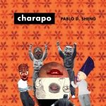 lector cuneta charapo pablo d sheng 150