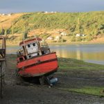 lector chiloe