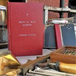 lector ediciones liz desde el rojo silencio carmen schaub