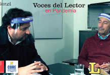 Hoy a las 21 horas: Estreno Voces del Lector en Pandemia.