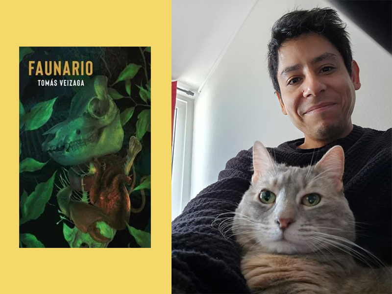 Tomás Veizaga: «La primera inspiración es la sociedad, el comportamiento humano»