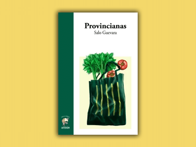 Reseña de «Provincianas» de Salomé Guevara